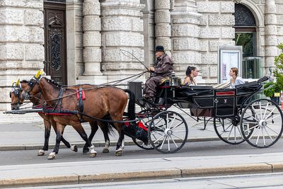 116_Vienna_P_RF_69442.jpg