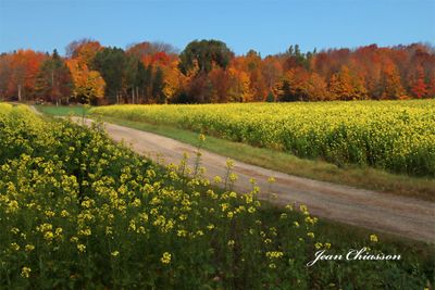 Octobre en couleurs