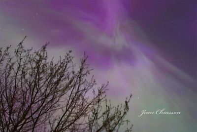  Aurora Borealis - Aurore Borale 10 - Mai - 2024