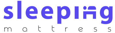 logo-header-1 sleeping mattress.png