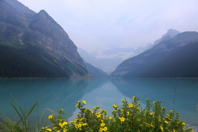 IMG_0243B.jpg