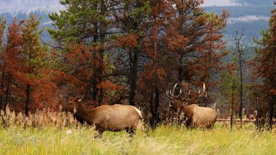 IMG_0415B.jpg
