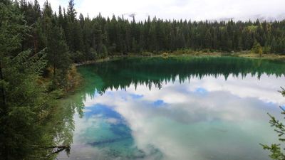 IMG_0516B.jpg