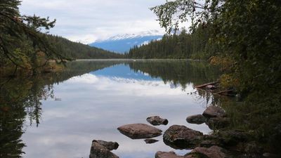 IMG_0555B.jpg