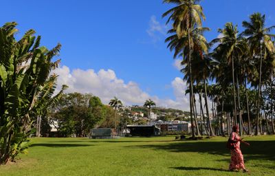 IMG_2724B.jpg