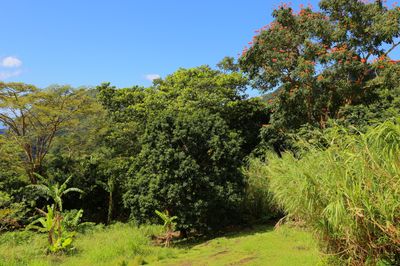 IMG_2937B.jpg
