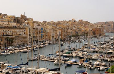 IMG_5682B.jpg