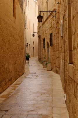 IMG_6142B.jpg