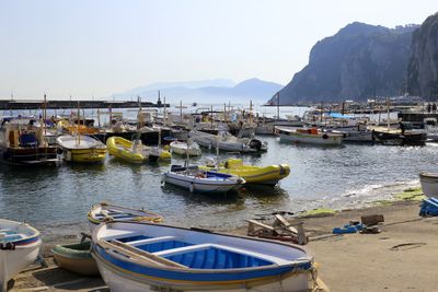 IMG_6415B.jpg