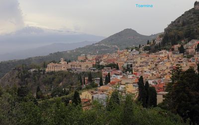 IMG_5295B copy.jpg