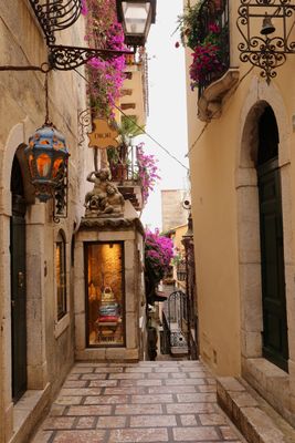 IMG_5318B.jpg