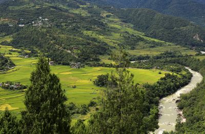 IMG_7243B.jpg