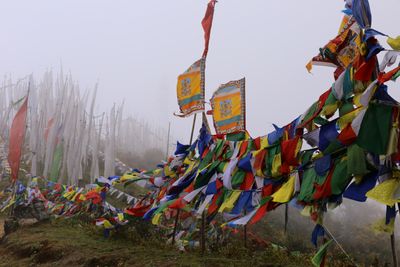IMG_7852B.jpg