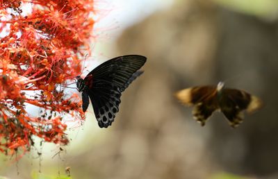 IMG_9302B.jpg