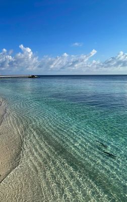 IMG_0164B.jpg