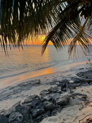 IMG_0345B.jpg