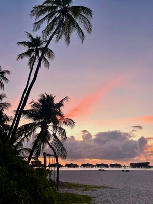 maldives