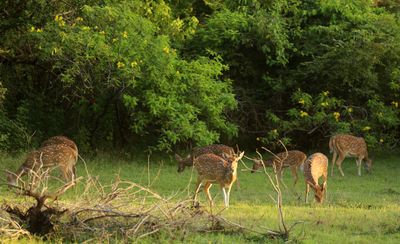 IMG_4856B.jpg