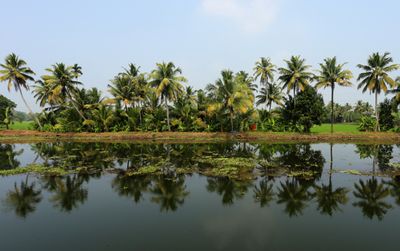 IMG_2423B.jpg