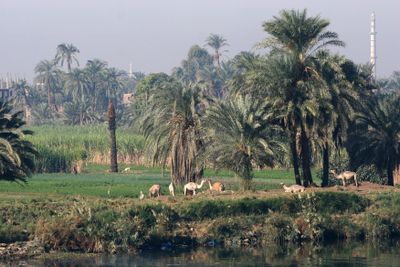 IMG_5574B.jpg