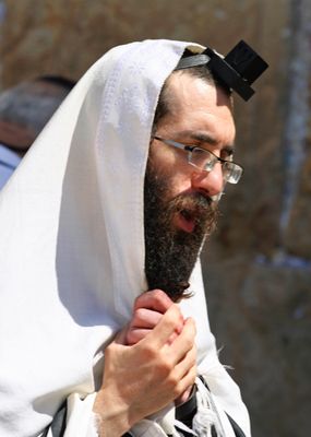 IMG_7328B.jpg