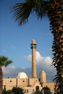 IMG_6580B.jpg