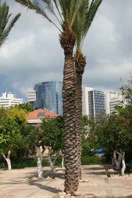 IMG_6668B.jpg