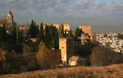 IMG_9917B.jpg