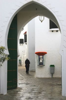 IMG_1514B.jpg