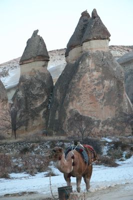 353_5345B.jpg