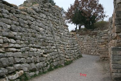 344_4474B copy.jpg