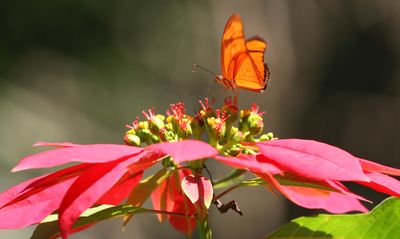 IMG_0754B.jpg