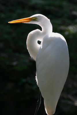 IMG_0782B.jpg