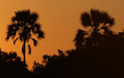 IMG_8771B.jpg