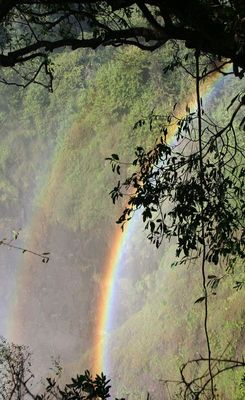 IMG_8845B.jpg