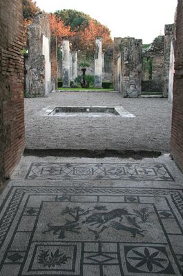IMG_5337B.jpg