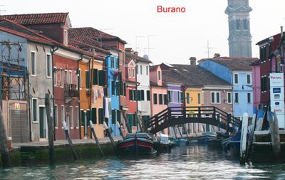 IMG_6546B copy.jpg
