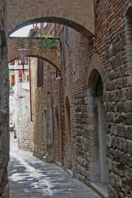 IMG_8182B.jpg