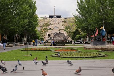 IMG_6787B.jpg