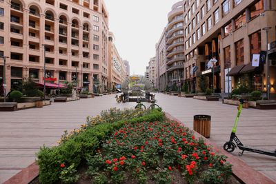 IMG_6761B.jpg
