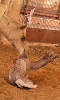IMG_5970B.jpg
