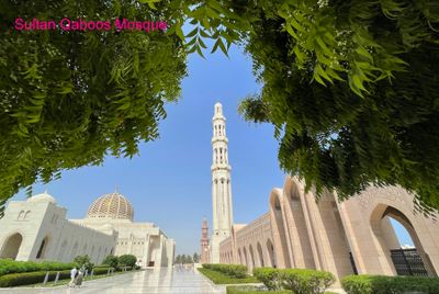 IMG_1574B copy.jpg