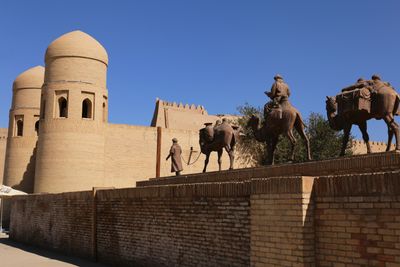 IMG_8466B.jpg