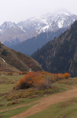 IMG_0084B.jpg