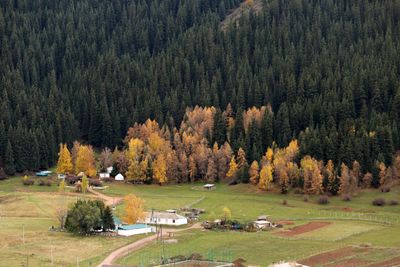 IMG_0091B.jpg