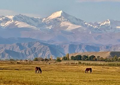 kyrgyzstan