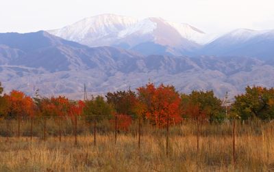 IMG_0210B.jpg