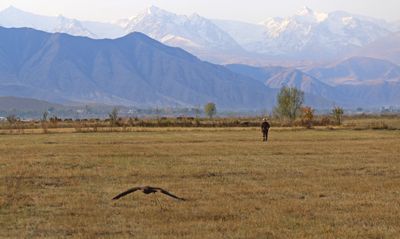 IMG_0356B.jpg