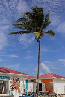 IMG_4228B.jpg