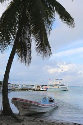 IMG_4074B.jpg
